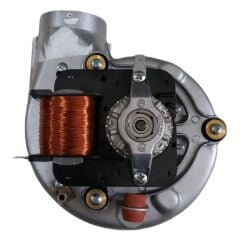 SÜSLER - SANICA FAN